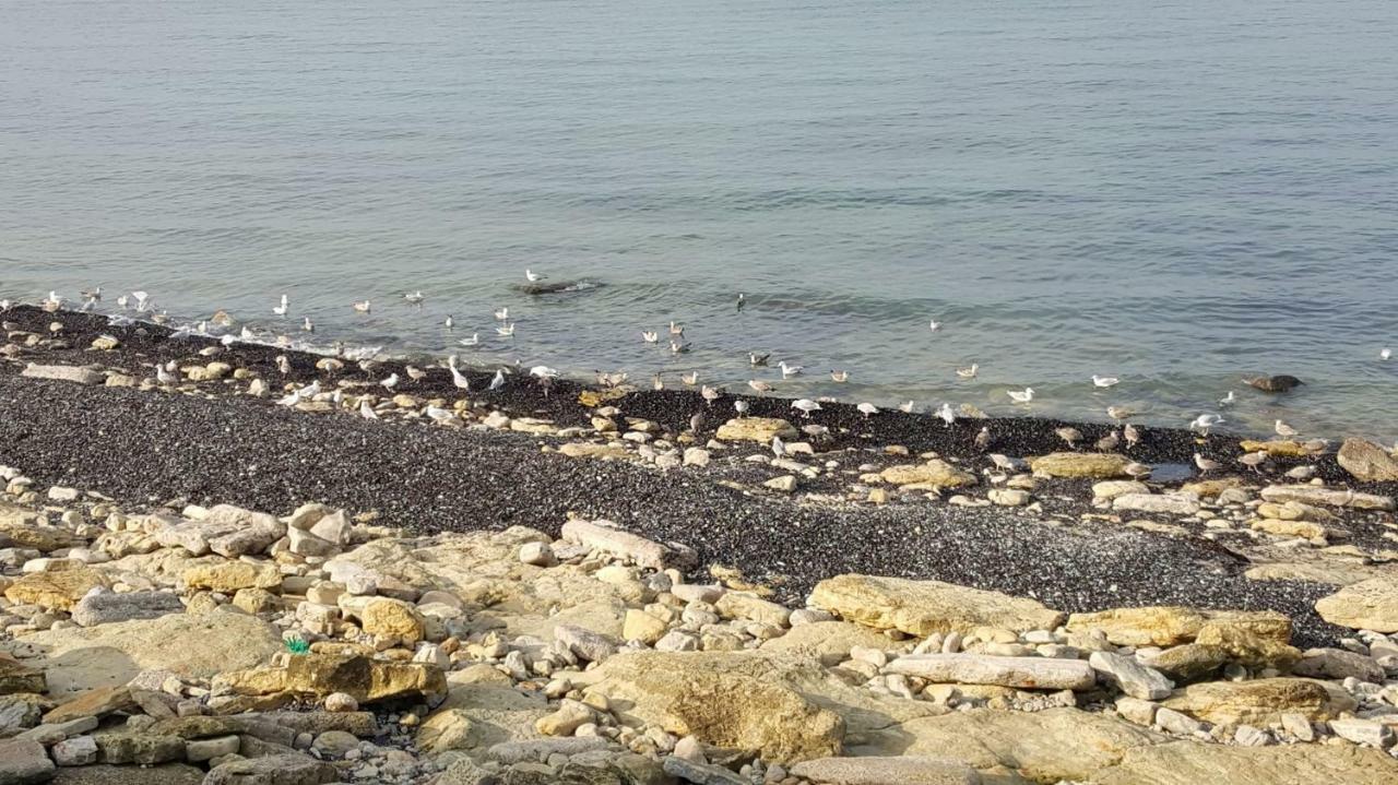 La Naturelle 119 Wimereux Eksteriør billede