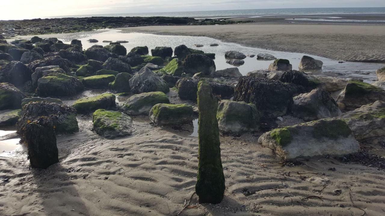 La Naturelle 119 Wimereux Eksteriør billede