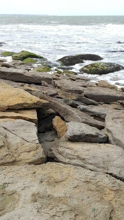 La Naturelle 119 Wimereux Eksteriør billede